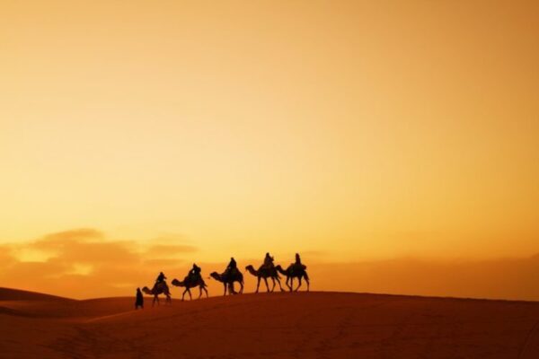 Camels are a frequent site atop these dunes of the Sahara.