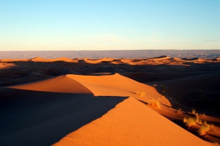 The mesmerizing, undulating waves of the Sahara desert.
