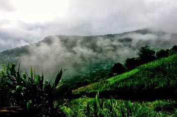 Thailand Mountains