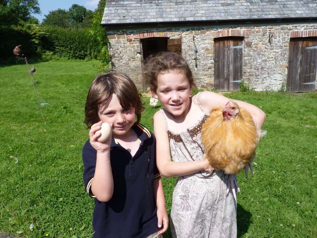 Kids love staying on farms, hunting for eggs and enjoying the nature.