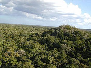 El Mirador in Guatemala.