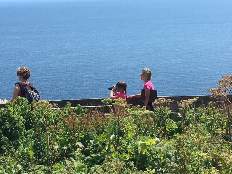 women-only taking in the views in the Gaspe Peninsula of Quebec.
