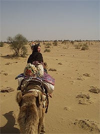 Onward and upward on the camel trail. photos by Jenny Coates.