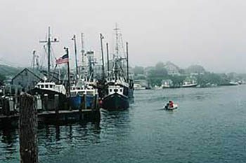 harbor scene nova scotia