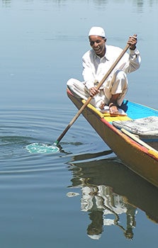 Kashmir