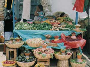 The market in San Cristobal - photo by Zoran Popovic