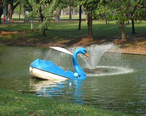 One of the park's floating ducks.