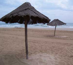 Spanish Umbrellas: A shady respite on Platja Llarga