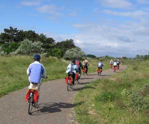 Biking through the Dunes near Den Hague