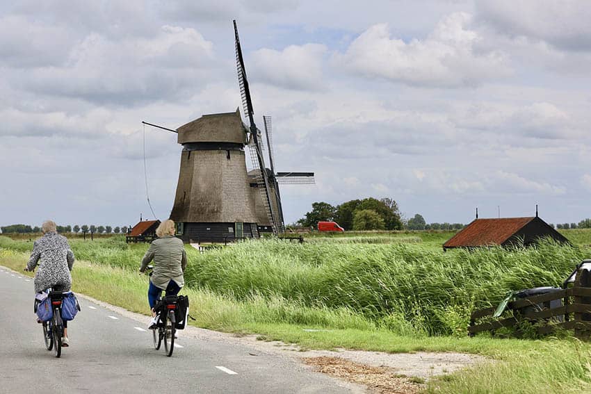 netherlands bicyclists