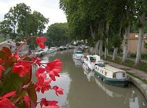 Flowers along the Canal du Midi, in southern France. Kent St. John photo.