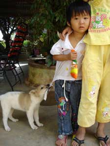 Kid and a dog in Vietnam.