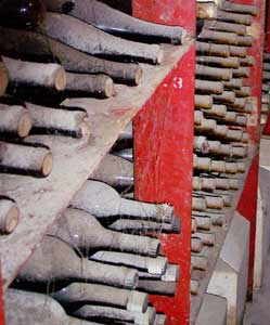 Dust-covered bottles of wine at Bodegas de Santo Tomás in Ensenada, Mexico