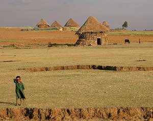 ethiopian countryside