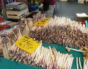 White asparagus - the bigger the spears, the higher the price 