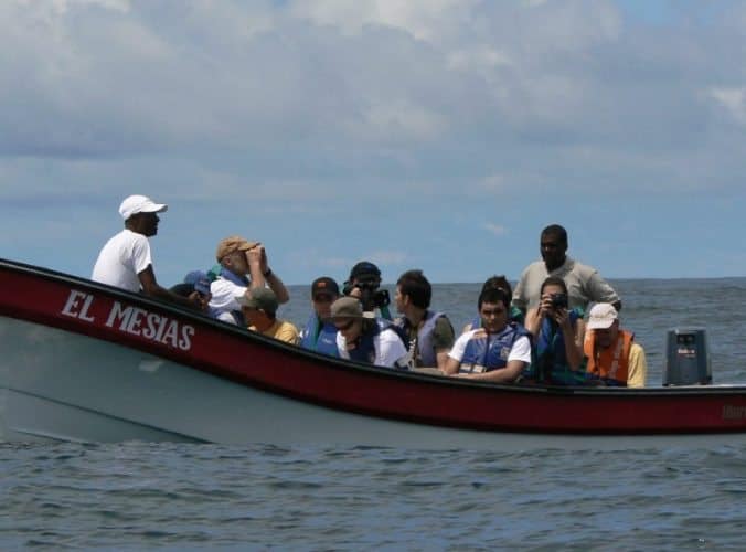 Dugout canoes are used by locals, and whale watching happens in 20 foot long speedboats. There are lots of whales to see here!