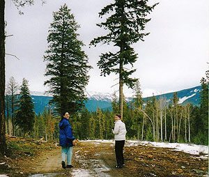 Carrie and I hiking the trails behind Jasper - a bit muddy in March