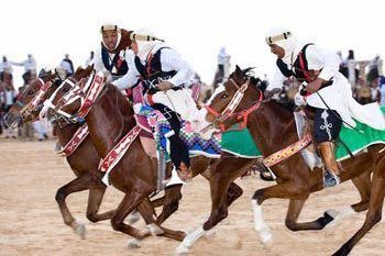 A horse race at the Douz Fest in Tunisia