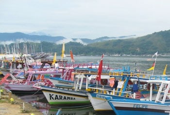 Gaily painted tour boats docked at Paraty Wharf with the early morning mist rising in the background hills