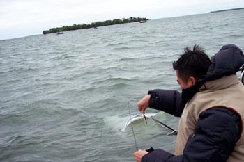 Finding My Inner Fisherwoman At Leech Lake