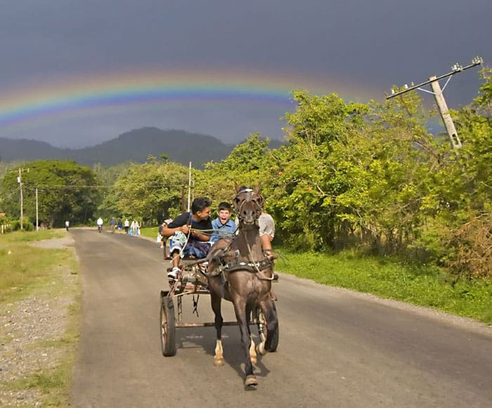 A horsecart near Cajobado, Cuba. Photos by Matthew Kadey.