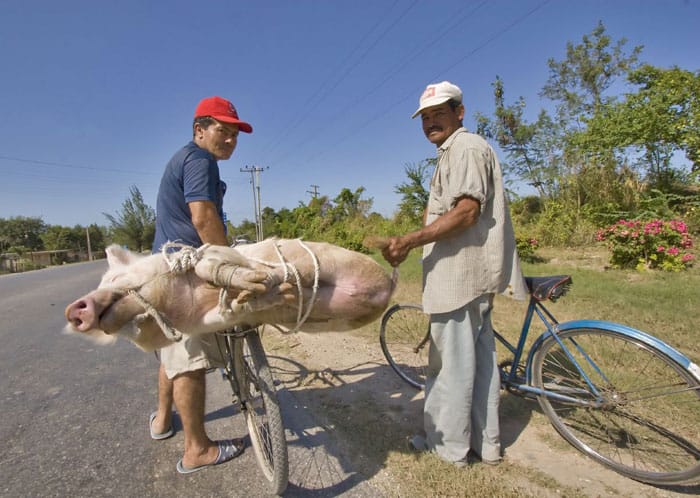 Bicycle barbeque in Cuba