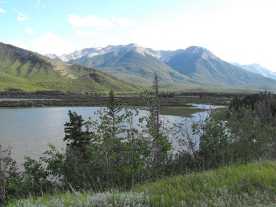 The lush wetlands of Vermillion Lakes in Banff