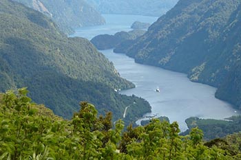 view of doubtful sound