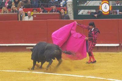 Before the deaths of the bulls in Valencia.