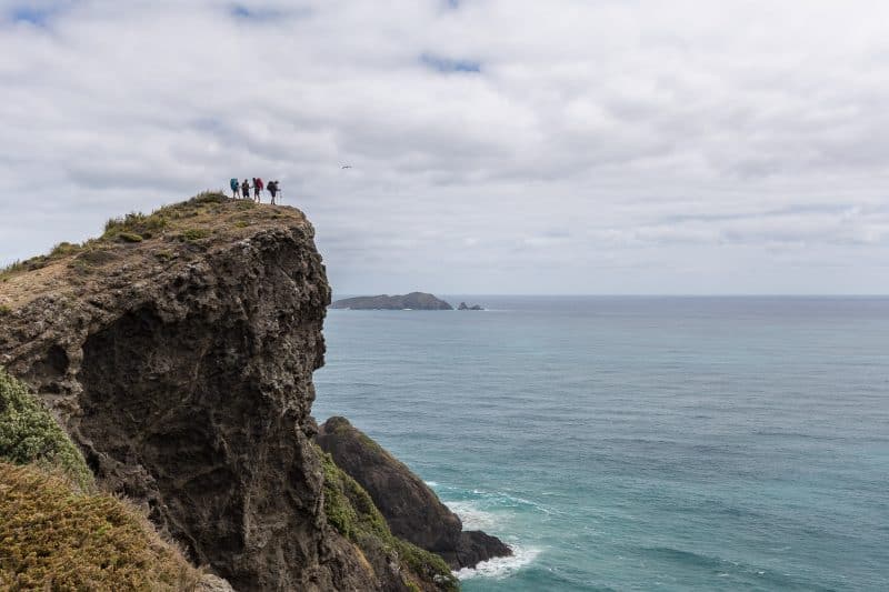 A captivating view from the Te Araroa trail, that goes the length of the two New Zealand islands. Hiking is another way to get around for free. thesummitregister.com photo.