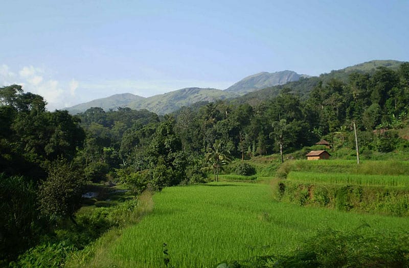 A slice of the district, greenest fields, quaint little huts with mountains overlooking them