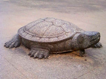 A stone tortoise at the Madikeri Fort. It is said that the panel below the tortoise can be moved and opens up to a secret tunnel that the kings had gotten dug up to escape in case of enemy attack.