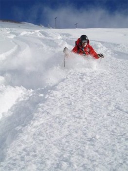 Powder skiing at Snowbasin Utah. photo SkiUtah.com