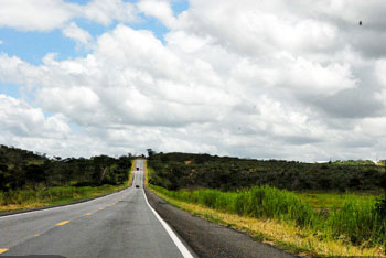 Road Trip Blu-ray (Road Trip: Caindo na Estrada) (Brazil)