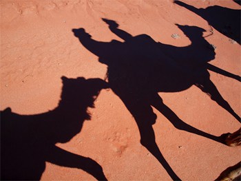 Camel shadows on the Pyndan Camel Tracks near Alice Springs.