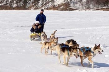 Dogsledding is an unforgettable outing in Alaska.