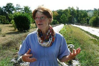 A strawberry farmer in the Dordogne region of central France. 