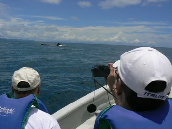 Open boat whale watching on Colombia's coast. photo by Max Hartshorne.