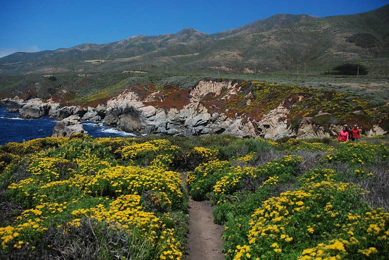 Hiking Soberanes Point with the St. Lucia mountains in the background. Photos by Shelley Rotner.