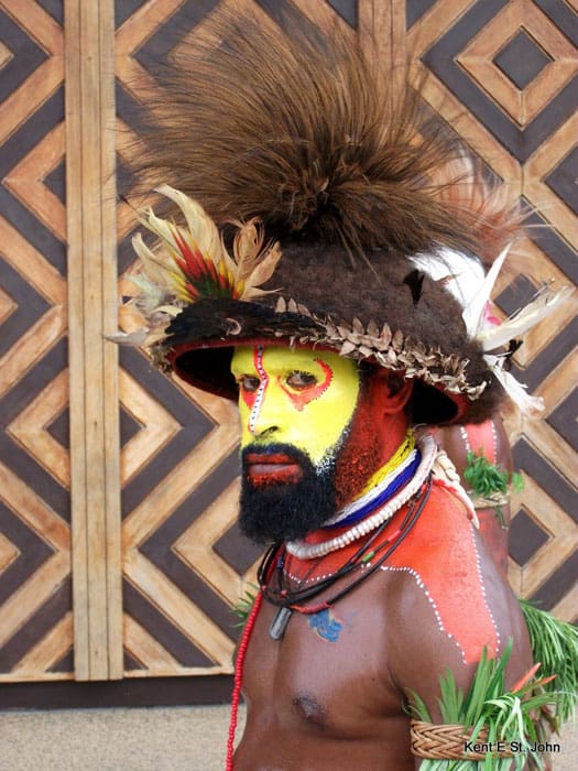 A tribesman in Papua New Guinea