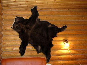bear-on-wall in Russian Banya.