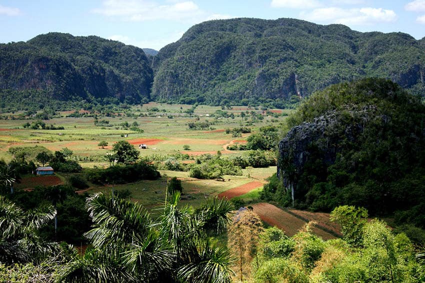 Cuba Viñales Valley Nature Trees Plant Landscape