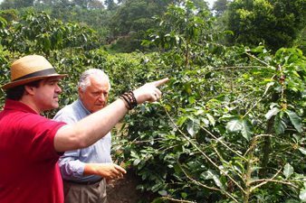 Walking the path through the coffee trees in Hacienda Combia. Paul Shoul photo.