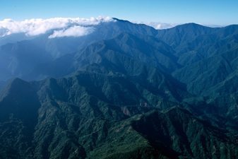 Jamaicas Blue Mountains: a serious hike!