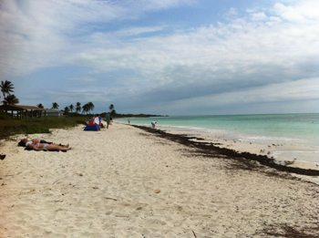 The pretty and deserted beach at Bahiahonda, Florida.
