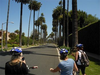 Biking through the posh neighborhoods of Beverly Hills, California. photos by Malea Ritz.