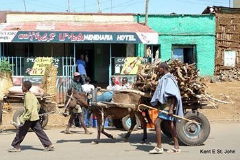 ethiopia cart