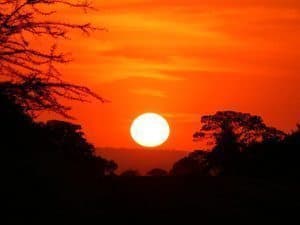 The famous African sunset, which doesn't last long.