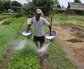 Agriculture is everywhere in bustling Vietnam.