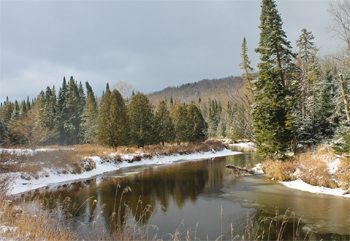 A stream in winter.
